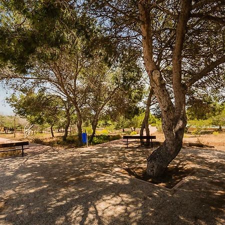 Apartament "Parque Mar" La Mata  Kültér fotó