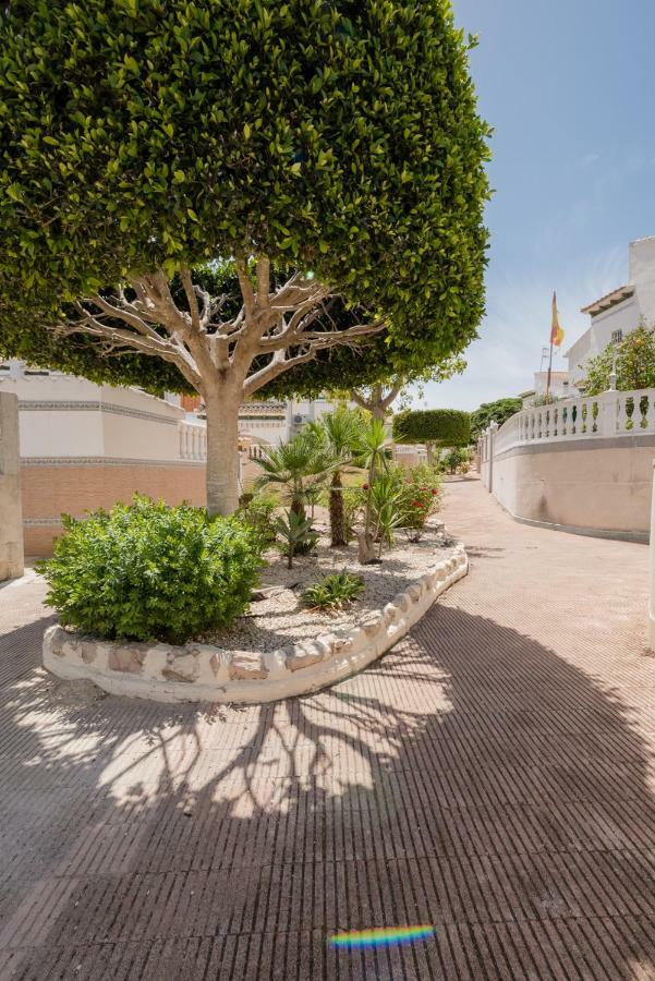 Apartament "Parque Mar" La Mata  Kültér fotó